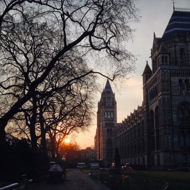 Brandon Lau Photos 01.jpg