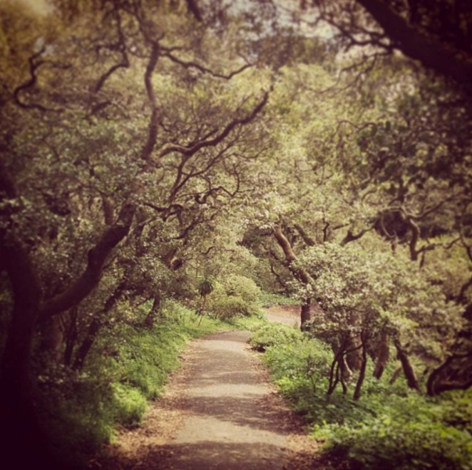 Deborah Lee Praño Photos 05.jpg