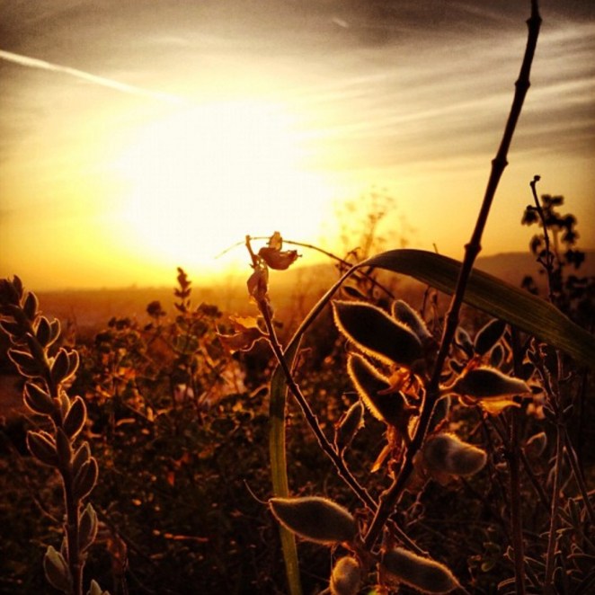 Deborah Lee Proaño Photos 06