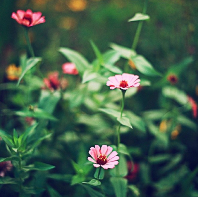 Dendy Julius (Wesley Gillebaard) Photos 02.jpg