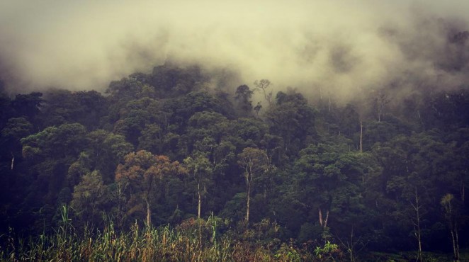 Wesley Gillebaard (Dendy Julius) Photos 05.jpg