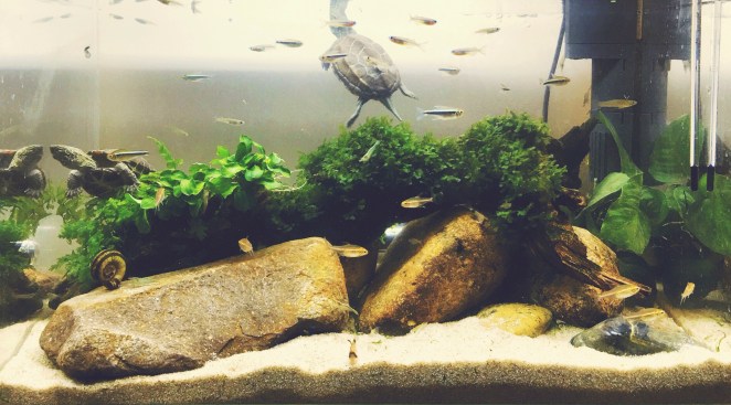 Tiantian Liu Photos 03.jpg