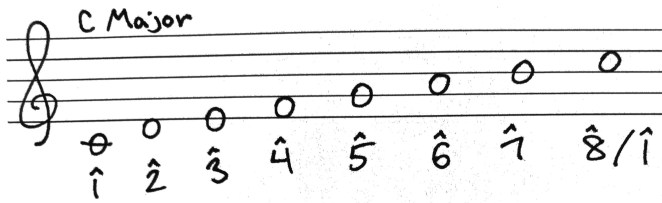 Photo 06 - C Major scale with scale degrees.jpg